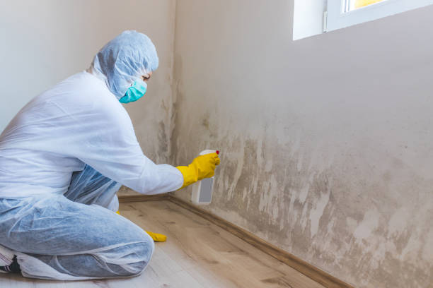 Hvac And Air Duct Mold Remediation inspection of HVAC system in White Plains